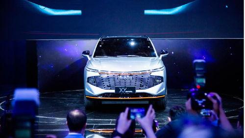 哈佛最新爆料新闻视频